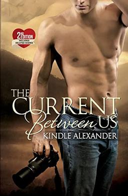 The Current Between Us (Layne Family Duet, Band 1)