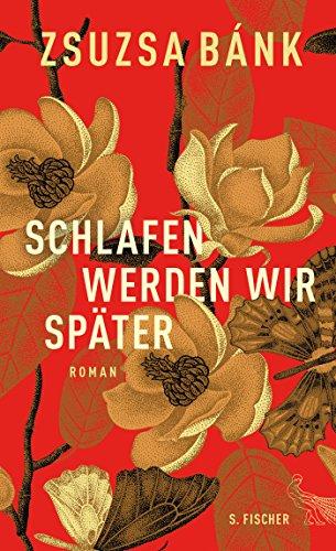 Schlafen werden wir später: Roman