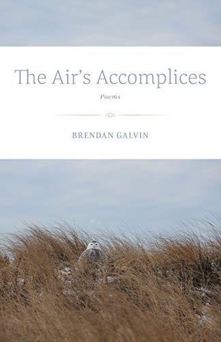 The Air's Accomplices: Poems