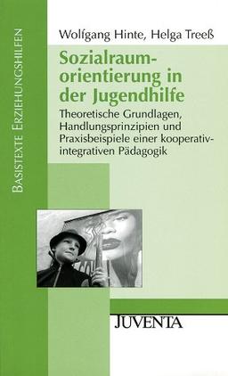 Sozialraumorientierung in der Jugendhilfe: Theoretische Grundlagen, Handlungsprinzipien und Praxisbeispiele einer kooperativen-integrativen Pädagogik: ... Pädagogik (Basistexte Erziehungshilfen)