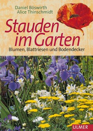 Stauden im Garten. Blumen, Blattriesen und Bodendecker