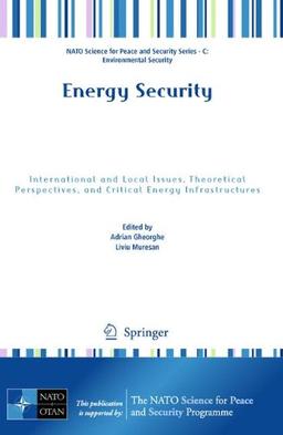 Energy Security: International and Local Issues, Theoretical Perspectives, and Critical Energy Infrastructures (NATO Science for Peace and Security Series C: Environmental Security)