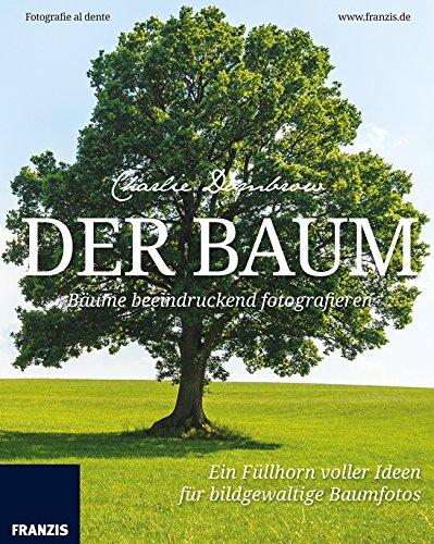 Der Baum: Bäume beeindruckend fotografieren. Fotografie al dente