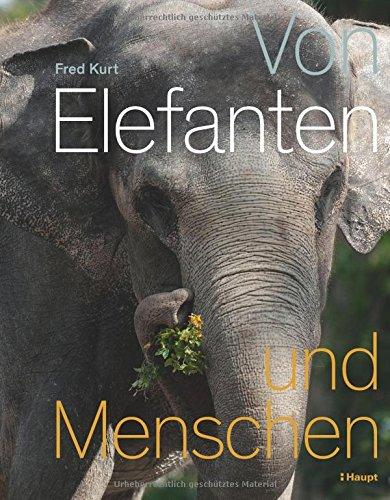 Von Elefanten und Menschen