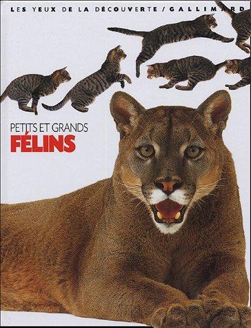 Petits et grands félins