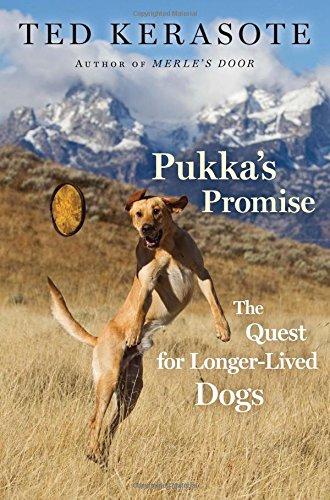 Pukka's Promise: The Quest for Longer-Lived Dogs