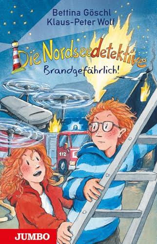 Die Nordseedetektive. Brandgefährlich!: Band 12