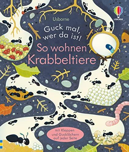 Guck mal, wer da ist! So wohnen Krabbeltiere: mit Klappen und Gucklöchern auf jeder Seite