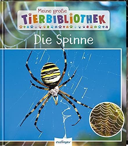 Meine große Tierbibliothek: Die Spinne: Sachbuch für Vorschule & Grundschule