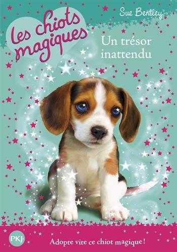 Les chiots magiques. Vol. 14. Un trésor inattendu