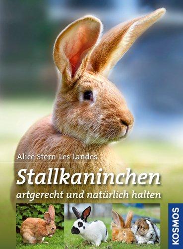 Stallkaninchen: artgerecht und natürlich halten