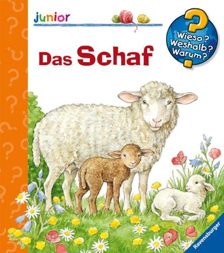 Wieso? Weshalb? Warum? - junior 29: Das Schaf