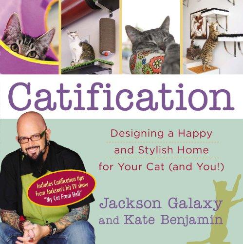 Catification: Designing a Happy and Stylish Home for Your Cat (and You!)