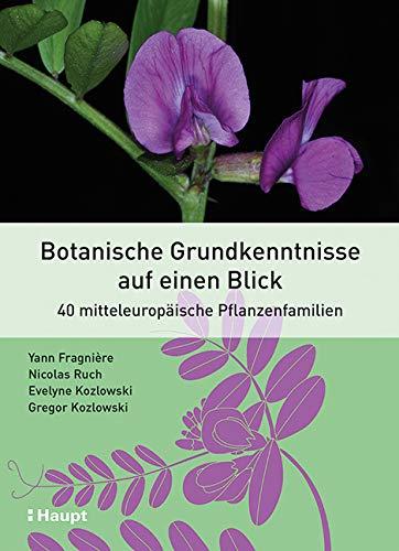 Botanische Grundkenntnisse auf einen Blick: 40 mitteleuropäische Pflanzenfamilien