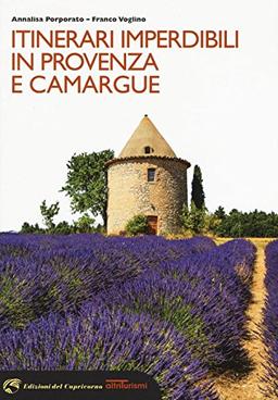 Itinerari imperdibili in Provenza e Camargue