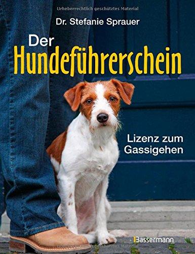 Der Hundeführerschein: Lizenz zum Gassigehen