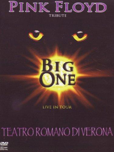 Pink Floyd tribute - Live in tour - Teatro Romano di Verona [IT Import]