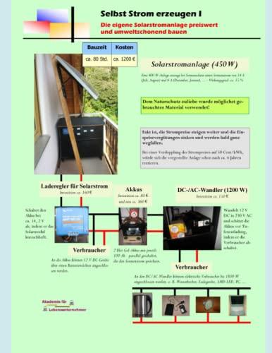 Selbst Strom erzeugen I: Die eigene Solarstromanlage preiswert und umweltschonend bauen (Energiewende zum selber machen, Band 2)
