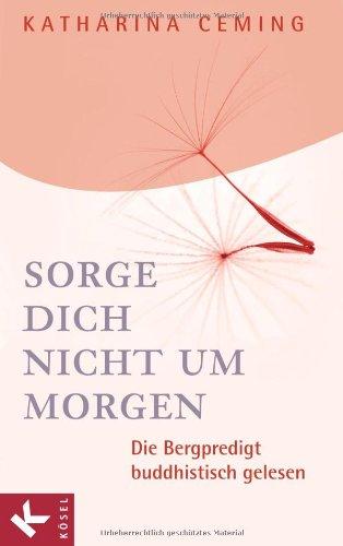 Sorge dich nicht um morgen: Die Bergpredigt buddhistisch gelesen