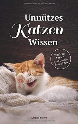 Unnützes Katzen-Wissen: Verrückte Fakten rund um die Samtpfoten