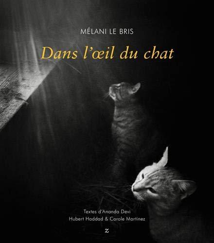 Dans l'oeil du chat