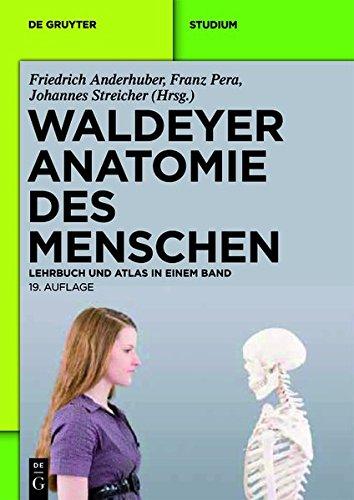 Waldeyer - Anatomie des Menschen: Lehrbuch und Atlas in einem Band (De Gruyter Studium)