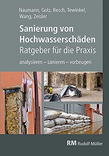 Sanierung von Hochwasserschäden - Ratgeber für die Praxis: analysieren - sanieren - vorbeugen