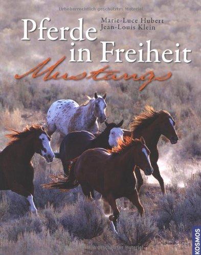 Pferde in Freiheit: Mustangs