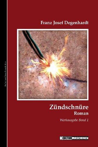 Zündschnüre: Roman