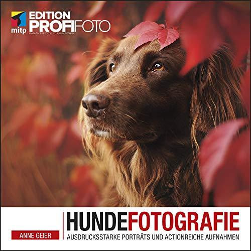 Hundefotografie: Ausdrucksstarke Porträts und actionreiche Aufnahmen (mitp Edition ProfiFoto): Ausdrucksstarke Portrts und actionreiche Aufnahmen