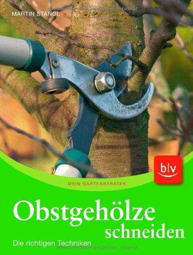 Obstgehölze schneiden: Die richtigen Techniken