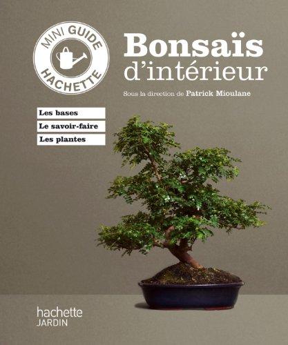 Bonsaïs d'intérieur