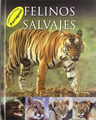 FELINOS SALVAJES