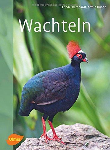 Wachteln