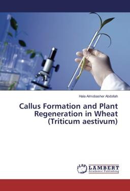 Callus Formation and Plant Regeneration in Wheat (Triticum aestivum)