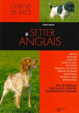 Le setter anglais