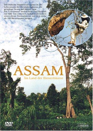 Assam - Im Land der Bienenbäume