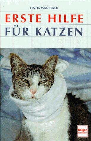 Erste Hilfe für Katzen