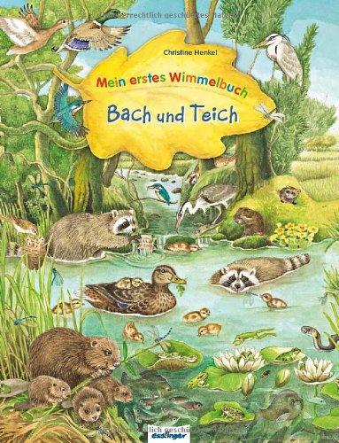 Mein erstes Wimmelbuch - Bach und Teich