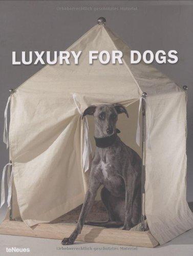 Luxury for dogs