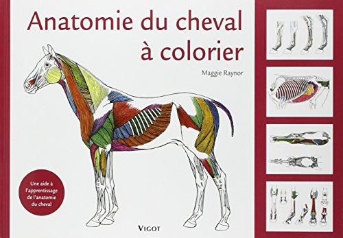 Anatomie du cheval à colorier : une aide à l'apprentissage de l'anatomie du cheval