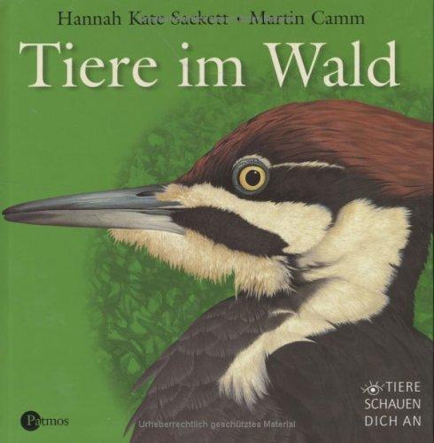 Tiere im Wald. Tiere im Wald