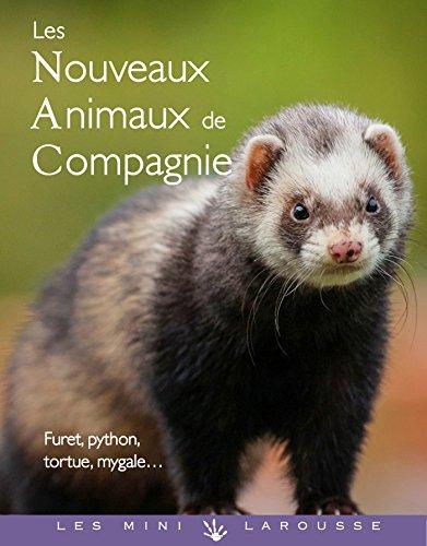 Les nouveaux animaux de compagnie : furet, python, tortue, mygale...