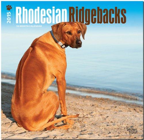 Rhodesian Ridgebacks 2015 - Afrikanischer Löwenhund