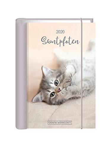 Terminplaner 2020 "Samtpfoten": Terminplaner Hardcover