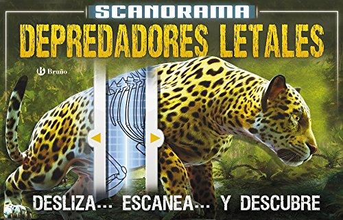 Scanorama. Depredadores (Castellano - A PARTIR DE 8 AÑOS - LIBROS DIDÁCTICOS - Otros libros)