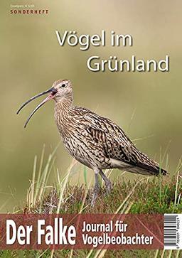 Vögel im Grünland