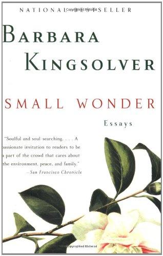 Small Wonder: Essays