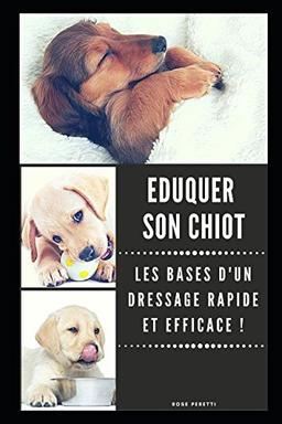 Eduquer son Chiot : Les Bases d'un Dressage Rapide et Efficace