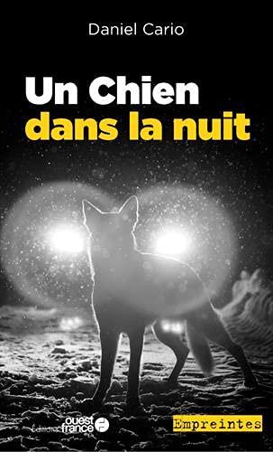 Un chien dans la nuit